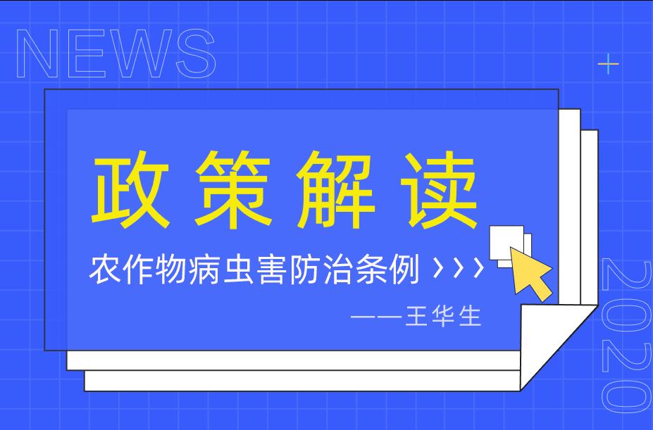 與種植戶一起學(xué)習(xí)《農(nóng)作物病蟲(chóng)害防治條例》