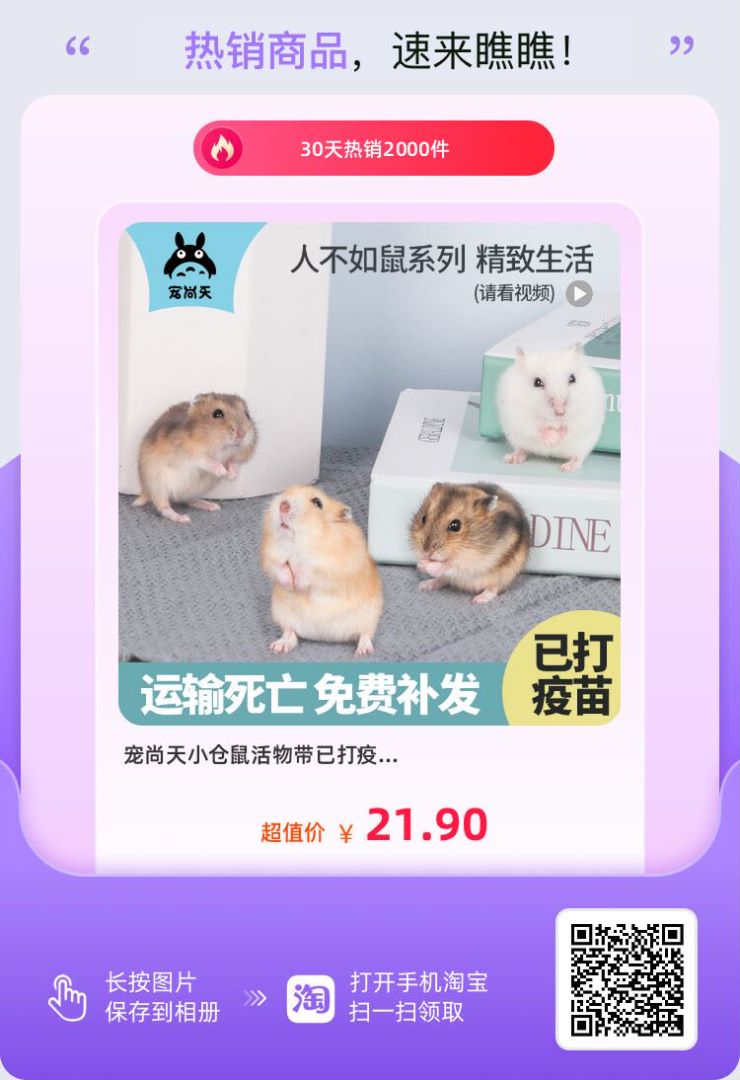 在哪買倉(cāng)鼠？