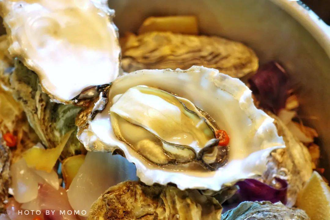 牡蠣片推薦！牡蠣片哪個牌子好？